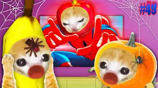 BANANA CAT - APPLE CAT IS SPIDERMAN | Happy Cat Funny Cartoon 49