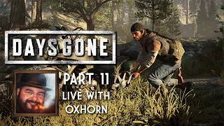 Days Gone Part 11 - Live with Oxhorn