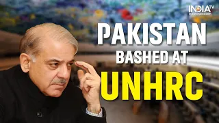 PoK Activists Bashed Pakistan at UNHRC For Human Rights Abuses | PoK Freedom | Shehbaz Sharif |
