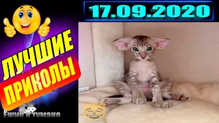 РЖАКА до Слез  BEST CUBE  Лучшие Видео из Инстаграм  BEST COUB  Видео Приколы  Отборные ПРИКОЛЫ