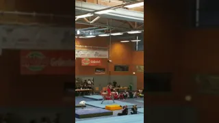 Men‘s gymnastic pommel horse