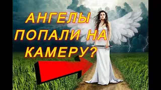 Ангелы попали на камеру? / ¿Ángeles captados en cámara?