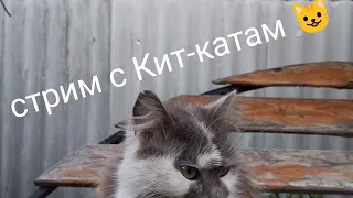 🐱KoT KiT-KaT🐱 в прямом эфире!