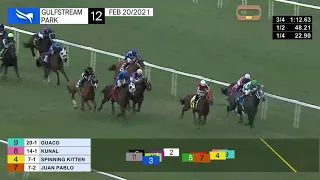 Gulfstream Park February 20, 2021 Race 12