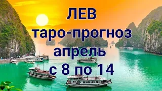 ♌️ ЛЕВ. Таро-прогноз на апрель с 8 по 14 2024 год.