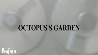 Octopus's Garden - cover