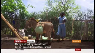 Donkey meat ban (Kenya/(China)) - BBC News - 26th February 2020