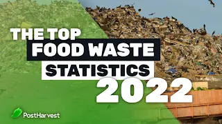 Top Food Waste Statistics