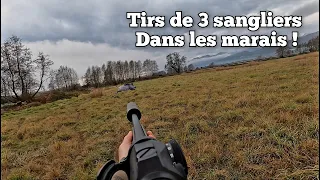 ☆chasse aux sangliers dans les marais ! 2023/2024☆