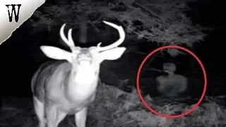 Creepiest TRAIL CAM PHOTOS No One Can Explain