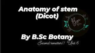 Anatomy Of Dicot Stem!! Second Semester Botany!! B.Sc Botany!! mgkvp!!