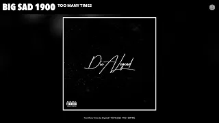 Big Sad 1900 - Too Many Times (Official Audio)