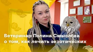 Ветеринар Полина Смыслова о том, как лечить экзотических животных