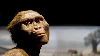 All Of The Australopithecines Explained