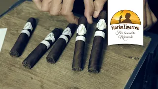 Davidoff Robusto Intenso Limited Edition 2020 Zigarren Review | StarkeZigarren