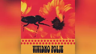 Lord Nap - Vividno Polje (Full Album 2024)