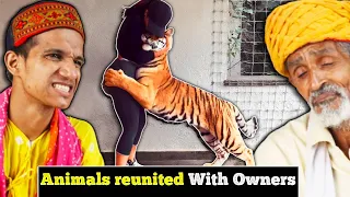 Villagers React To These Animals Reunited With Owners After Years ! Tribal People React to Animals