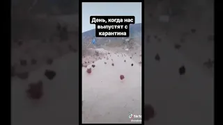 Смешные видео про карантин!🤣