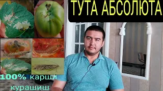 TUTA ABSOLYUTAGA QARSHI KURASHISH 100% TULIQ TAVSIYALAR