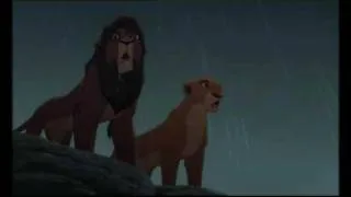 Simba, Nala , Kovu and Kiara : we are one