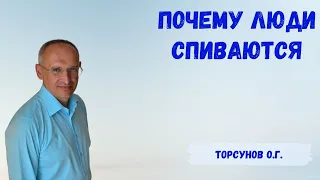 Торсунов О.Г.  Почему люди спиваются