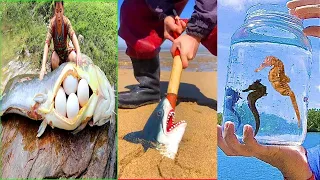 Catching Seafood 🐙🦀 Deep Sea Octopus (Catch Fish, Catch Shark, Sea Creatures) TikTok #42