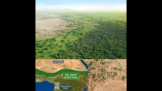 The Great Green Wall- Africa's Solution For The Spreading Sahara