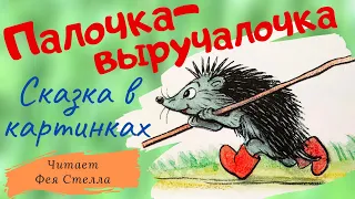 ПАЛОЧКА-ВЫРУЧАЛОЧКА 🐰 Сказки Сутеева| ЧИТАЕТ ФЕЯ СТЕЛЛА ❤️ Детская аудиосказка с картинками