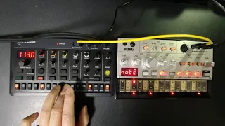 Roland T-8 & KORG Volca Bass (acid / synth jam 2024 #2)