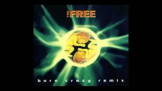 The Free - born crazy (Extended Mix) [1994]