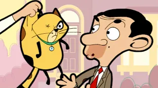 Cuidando do gato | Mr. Bean em Português | Desenhos animados para crianças | WildBrain em Português