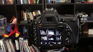 Nikon DSLRs: Live View Histogram