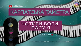 ЧОТИРИ ВОЛИ ПАСУ Я - Карпатська Тайстра