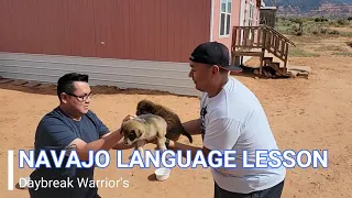 Navajo Handling Verbs