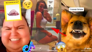 Funny TIK TOK October 2020 (Part 5) NEW Clean TikTok, Funny TikTok Compilation