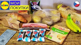 ОБЗОР ПОКУПОК из супермаркета LIDL, Чехия.  Сколько стоит хлеб и картошка в Европе?