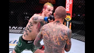 Sean O'Malley KO Eddie Wineland - UFC 250
