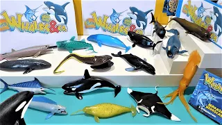 ORCA & co MAXXI EDICION - WHALES & co  UNBOXING en español