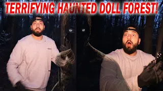 TERRIFYING DISCOVERY IN THE HAUNTED DOLL FOREST!