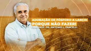 EVITE ERROS: Adubação de fósforo à lanço