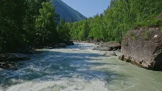 Sounds of nature. The sound of a mountain river. Birds singing.