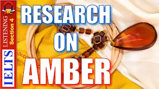 Real IELTS Listening Test | Section 4 | Research On Amber