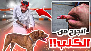 وش يصير اذا دخلنا اقوى كلب في العالم في مقر باور 🤯🔥( كلب متوحش🐕!! )