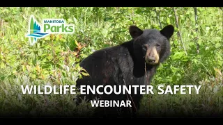 Wildlife Encounter Safety Webinar