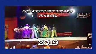 2019 Conjunto Estilizado Juvenil | TEJIENDO RAICES