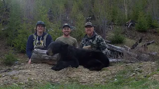 2021 Spring Black Bear Hunt