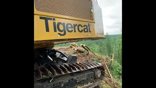 Tigercat LS855E with a Summit tethering system