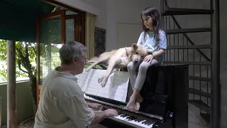 Barton Family - Piano with Emilie and Sharky the Dog