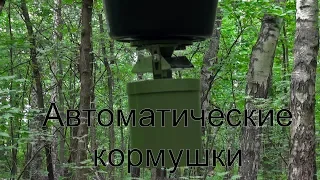 Автоматические кормушки для леса и охоты | PCPgun.ru