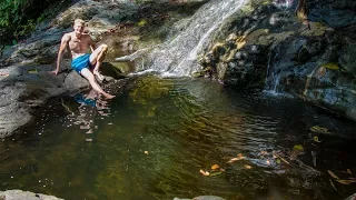 Swimming and Fish SPA in Alibaba Waterfall of Danum Valley